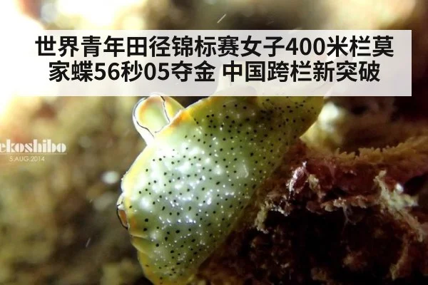 世界青年田径锦标赛女子400米栏莫家蝶56秒05夺金 中国跨栏新突破