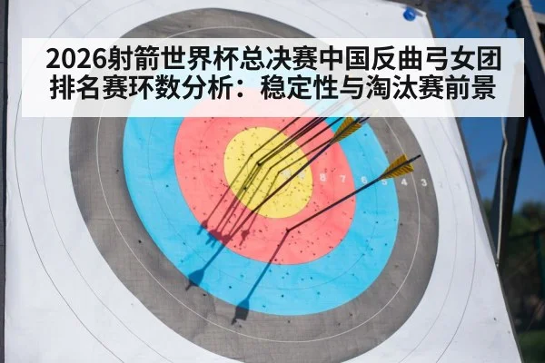 archery target arrows close up