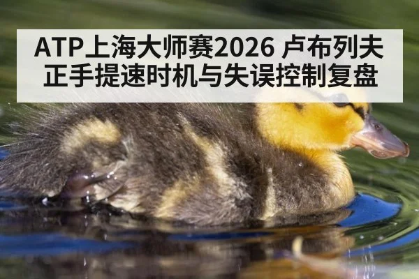 ATP上海大师赛2026 卢布列夫正手提速时机与失误控制复盘